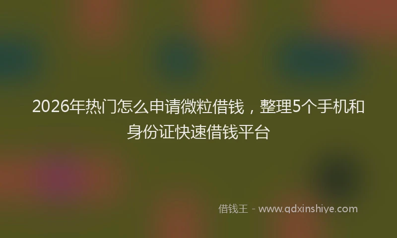 2026年热门怎么申请微粒借钱，整理5个手机和身份证快速借钱平台