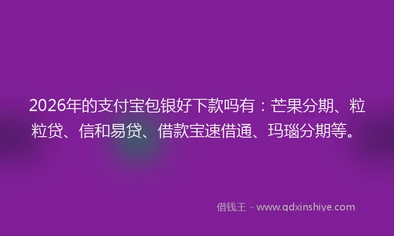 2026年的支付宝包银好下款吗有：芒果分期、粒粒贷、信和易贷、借款宝速借通、玛瑙分期等。