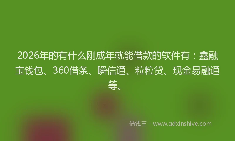 2026年的有什么刚成年就能借款的软件有：鑫融宝钱包、360借条、瞬信通、粒粒贷、现金易融通等。