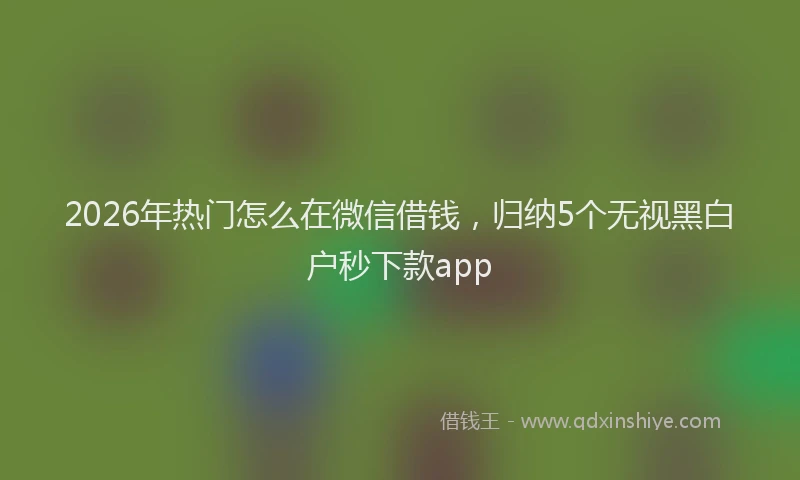 2026年热门怎么在微信借钱，归纳5个无视黑白户秒下款app