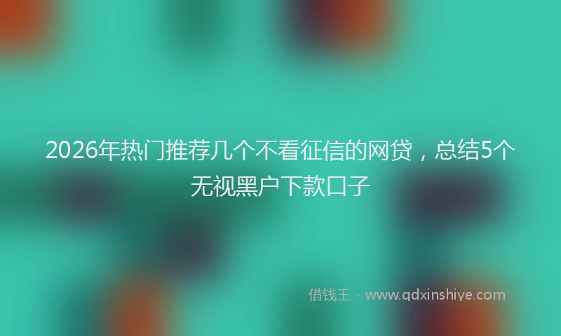 2026年热门推荐几个不看征信的网贷，总结5个无视黑户下款口子