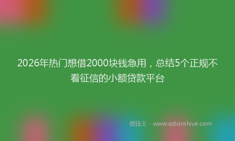 2026年热门想借2000块钱急用，总结5个正规不看征信的小额贷款平台