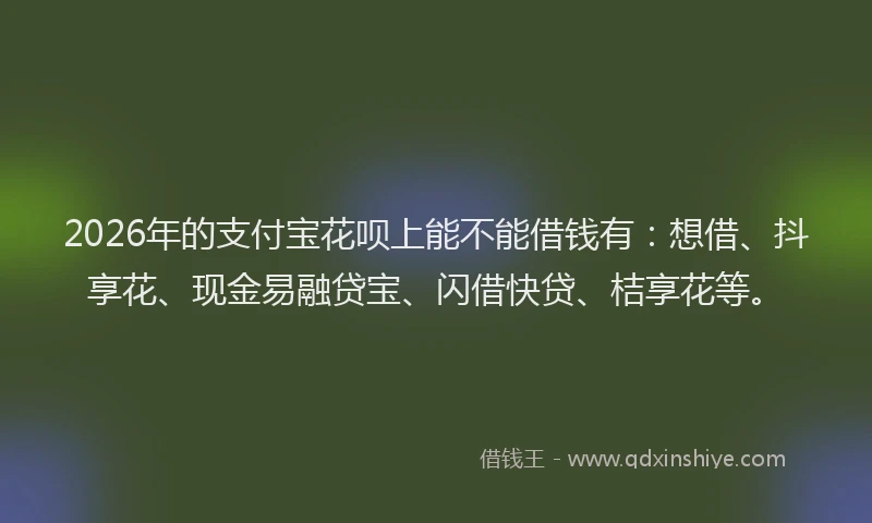 2026年的支付宝花呗上能不能借钱有：想借、抖享花、现金易融贷宝、闪借快贷、桔享花等。