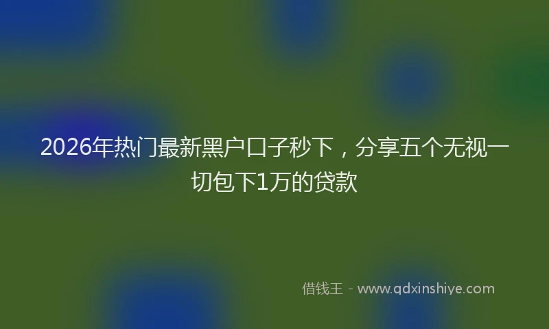 2026年热门最新黑户口子秒下，分享五个无视一切包下1万的贷款