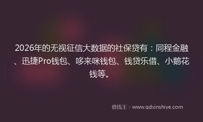 2026年的无视征信大数据的社保贷有：同程金融、迅捷Pro钱包、哆来咪钱包、钱贷乐借、小鹅花钱等。