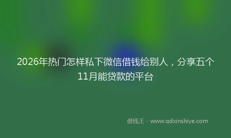 2026年热门怎样私下微信借钱给别人，分享五个11月能贷款的平台
