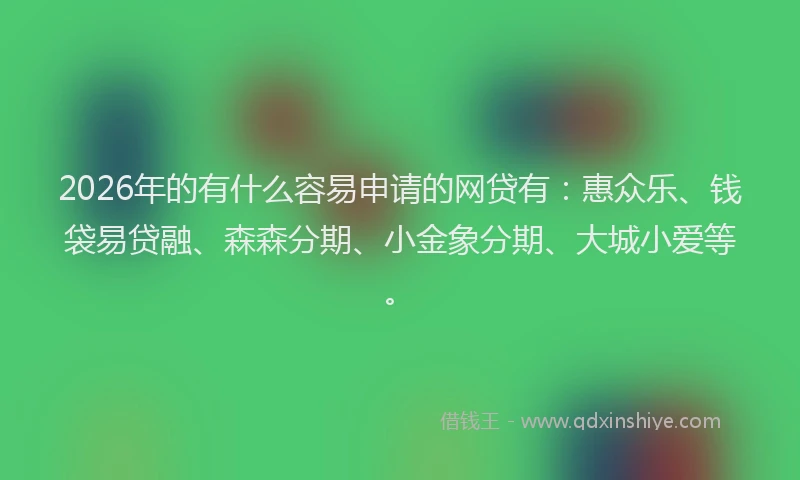 2026年的有什么容易申请的网贷有：惠众乐、钱袋易贷融、森森分期、小金象分期、大城小爱等。