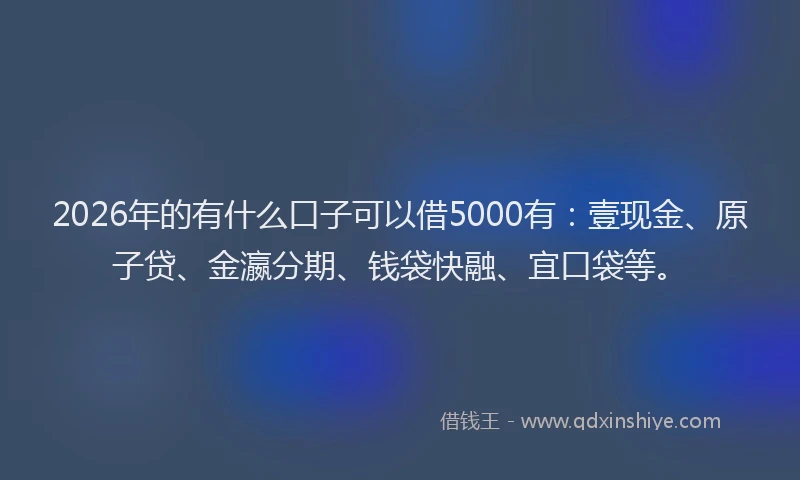 2026年的有什么口子可以借5000有：壹现金、原子贷、金瀛分期、钱袋快融、宜口袋等。