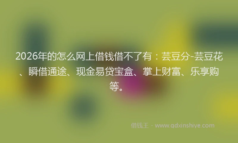 2026年的怎么网上借钱借不了有：芸豆分-芸豆花、瞬借通途、现金易贷宝盒、掌上财富、乐享购等。