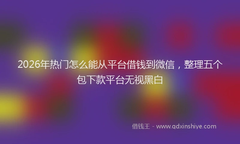 2026年热门怎么能从平台借钱到微信，整理五个包下款平台无视黑白
