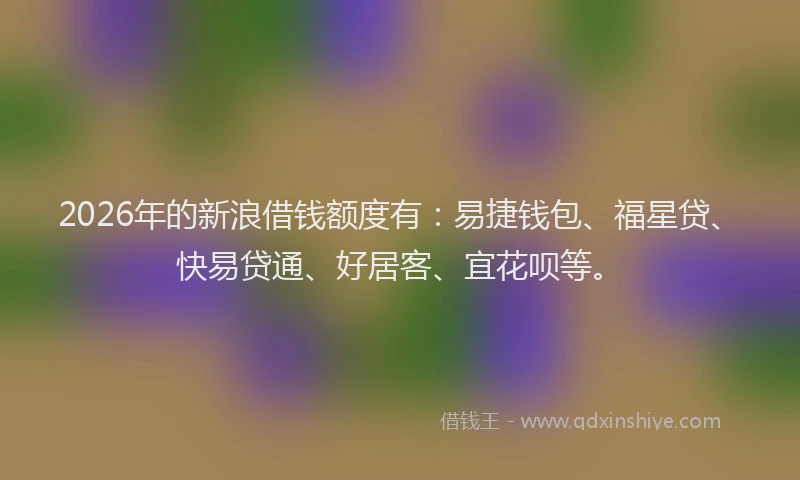 2026年的新浪借钱额度有：易捷钱包、福星贷、快易贷通、好居客、宜花呗等。