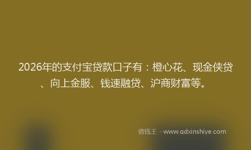 2026年的支付宝贷款口子有：橙心花、现金侠贷、向上金服、钱速融贷、沪商财富等。