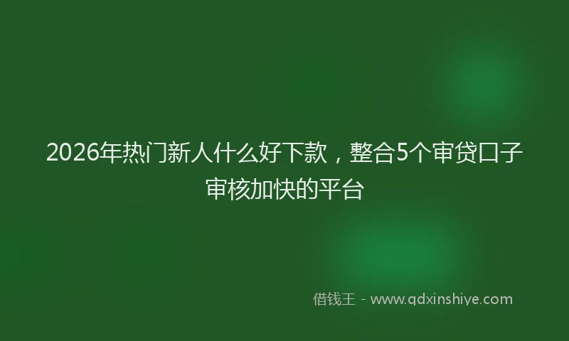 2026年热门新人什么好下款，整合5个审贷口子审核加快的平台