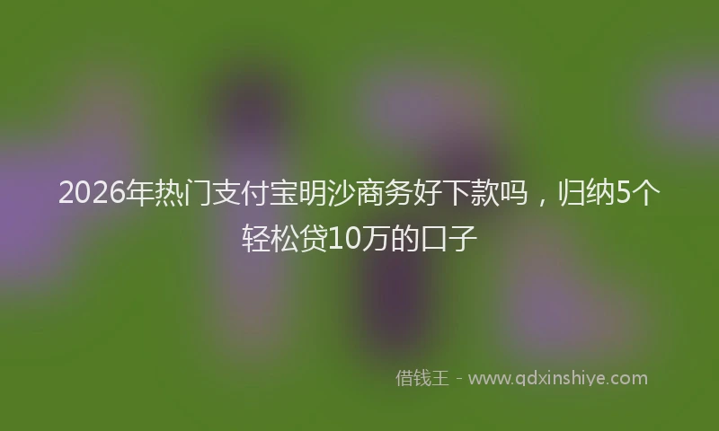 2026年热门支付宝明沙商务好下款吗，归纳5个轻松贷10万的口子