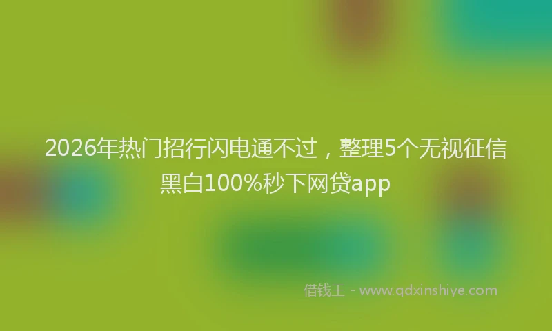 2026年热门招行闪电通不过，整理5个无视征信黑白100%秒下网贷app