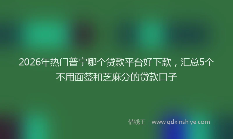 2026年热门普宁哪个贷款平台好下款，汇总5个不用面签和芝麻分的贷款口子
