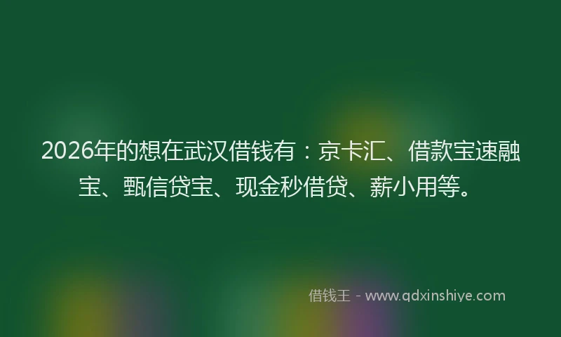 2026年的想在武汉借钱有：京卡汇、借款宝速融宝、甄信贷宝、现金秒借贷、薪小用等。