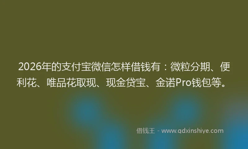 2026年的支付宝微信怎样借钱有:微粒分期、便利花、唯品花取现、现金贷宝、金诺Pro钱包等。