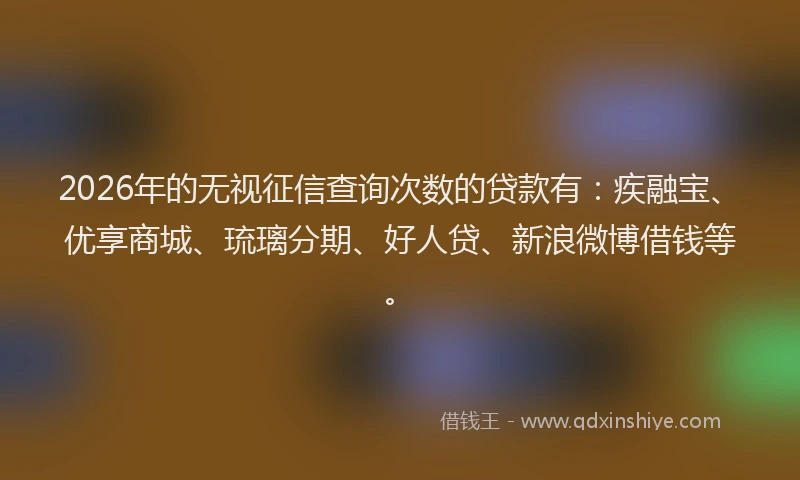 2026年的无视征信查询次数的贷款有：疾融宝、优享商城、琉璃分期、好人贷、新浪微博借钱等。