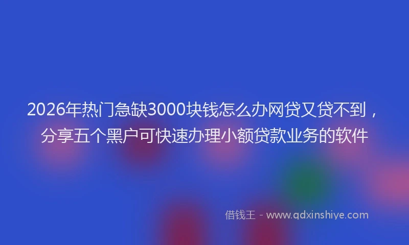 2026年热门急缺3000块钱怎么办网贷又贷不到，分享五个黑户可快速办理小额贷款业务的软件