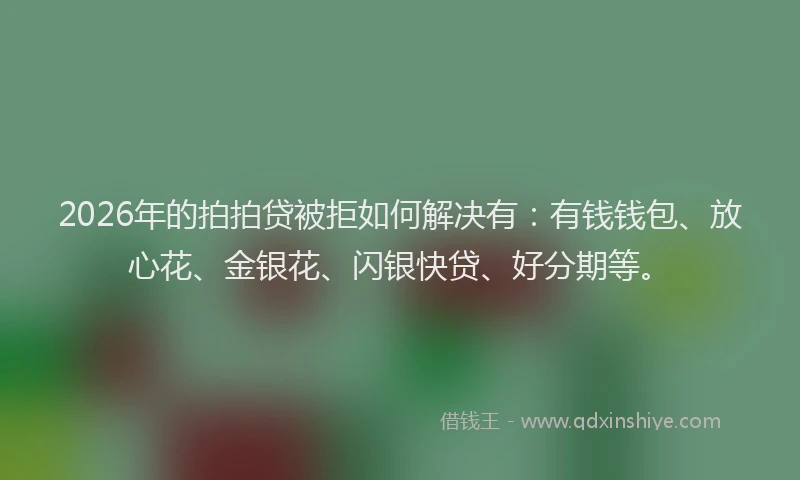 2026年的拍拍贷被拒如何解决有：有钱钱包、放心花、金银花、闪银快贷、好分期等。