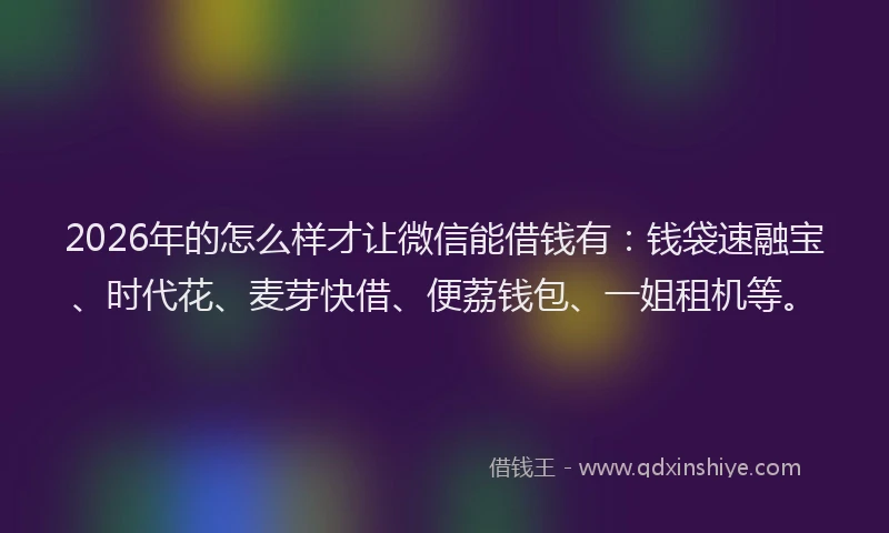 2026年的怎么样才让微信能借钱有：钱袋速融宝、时代花、麦芽快借、便荔钱包、一姐租机等。