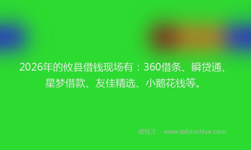 2026年的攸县借钱现场有：360借条、瞬贷通、星梦借款、友佳精选、小鹅花钱等。