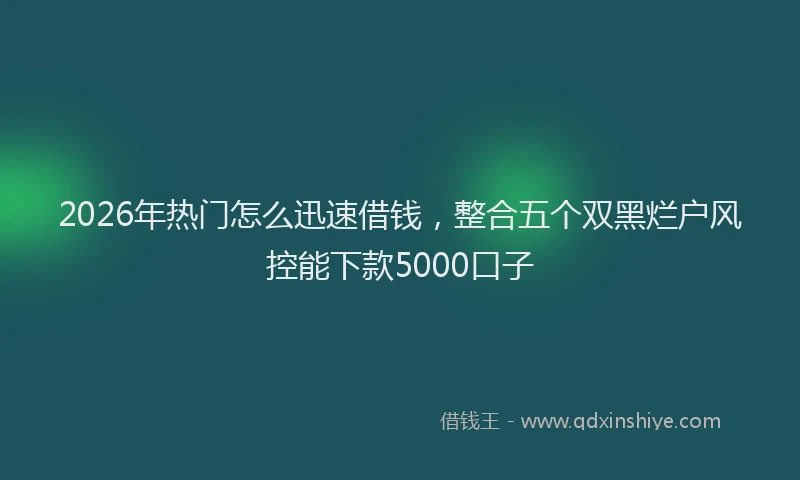 2026年热门怎么迅速借钱，整合五个双黑烂户风控能下款5000口子