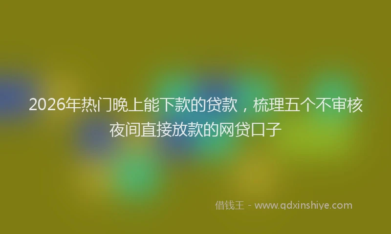 2026年热门晚上能下款的贷款,梳理五个不审核夜间直接放款的网贷口子