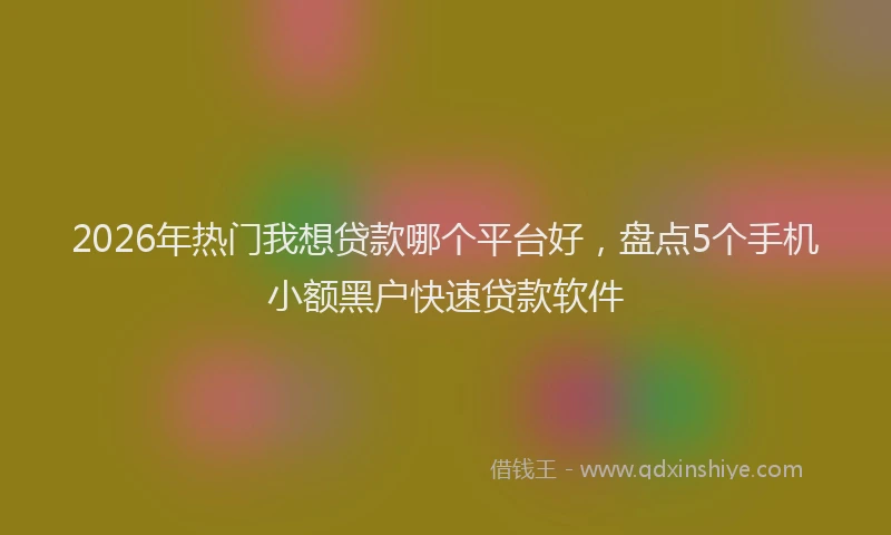 2026年热门我想贷款哪个平台好，盘点5个手机小额黑户快速贷款软件