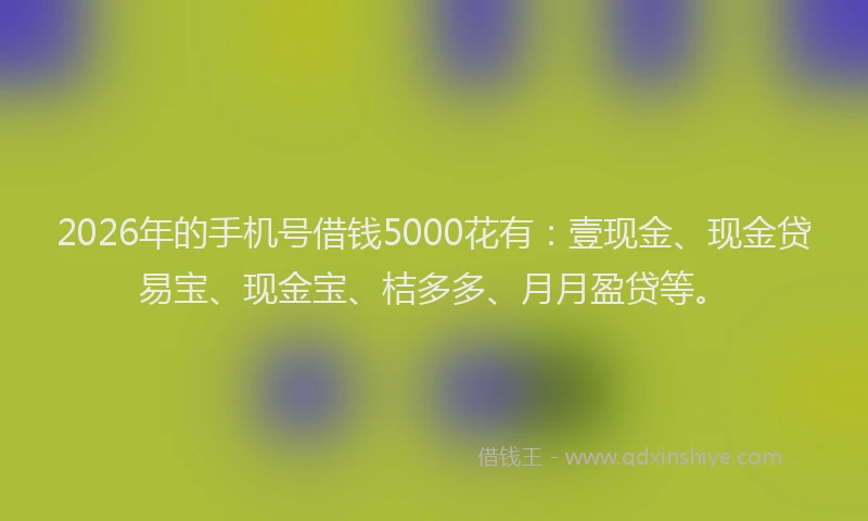 2026年的手机号借钱5000花有：壹现金、现金贷易宝、现金宝、桔多多、月月盈贷等。
