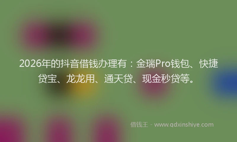2026年的抖音借钱办理有：金瑞Pro钱包、快捷贷宝、龙龙用、通天贷、现金秒贷等。