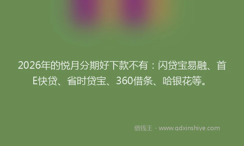 2026年的悦月分期好下款不有：闪贷宝易融、首E快贷、省时贷宝、360借条、哈银花等。