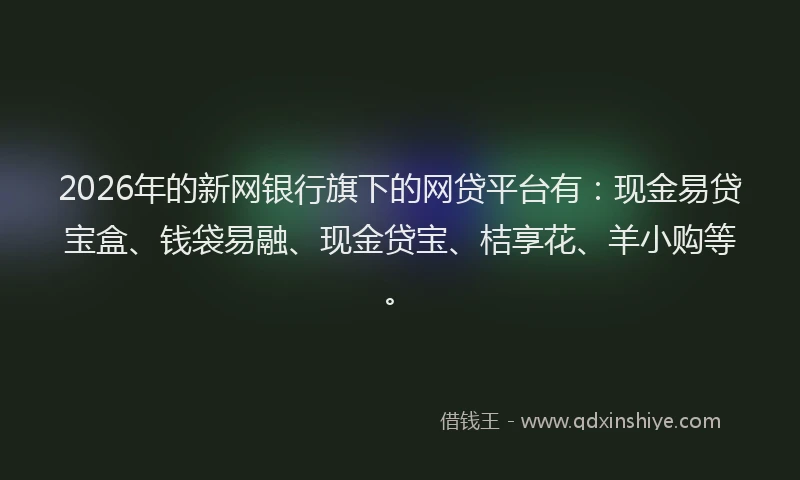 2026年的新网银行旗下的网贷平台有：现金易贷宝盒、钱袋易融、现金贷宝、桔享花、羊小购等。