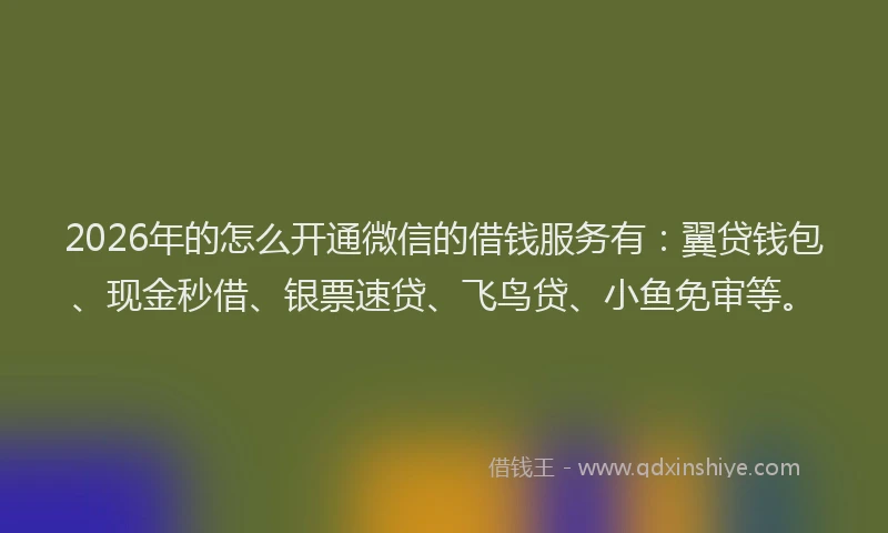 2026年的怎么开通微信的借钱服务有：翼贷钱包、现金秒借、银票速贷、飞鸟贷、小鱼免审等。