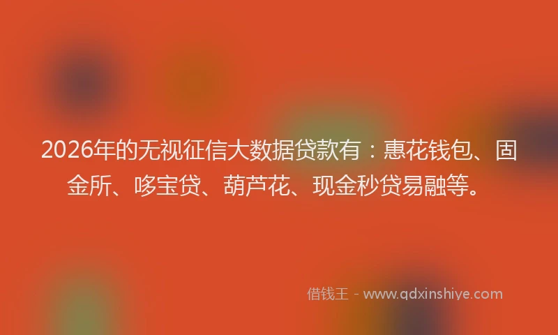 2026年的无视征信大数据贷款有：惠花钱包、固金所、哆宝贷、葫芦花、现金秒贷易融等。