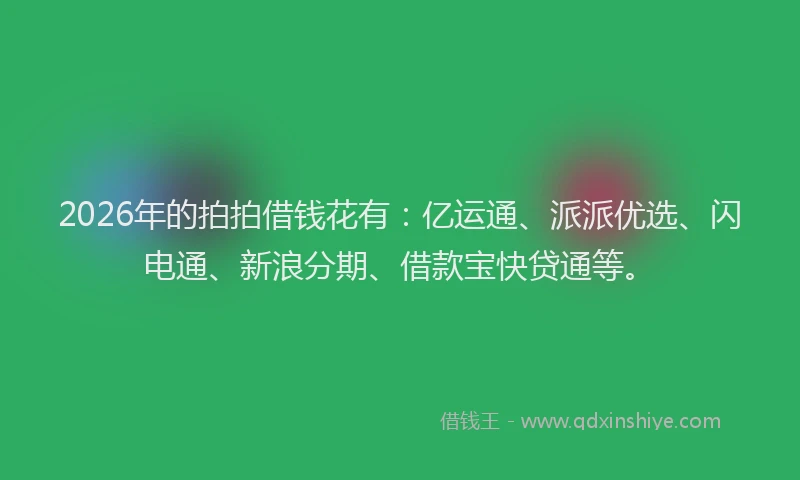 2026年的拍拍借钱花有:亿运通、派派优选、闪电通、新浪分期、借款宝快贷通等。
