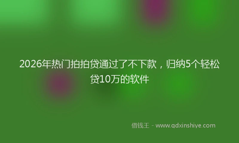 2026年热门拍拍贷通过了不下款，归纳5个轻松贷10万的软件