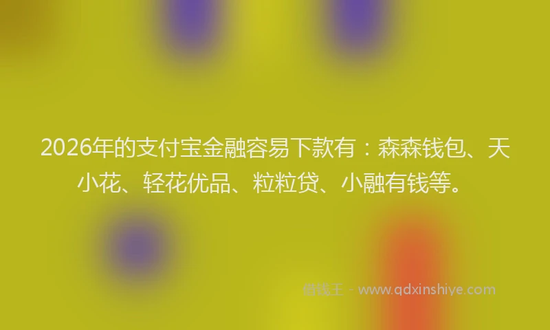 2026年的支付宝金融容易下款有：森森钱包、天小花、轻花优品、粒粒贷、小融有钱等。
