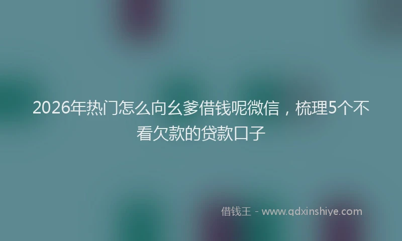 2026年热门怎么向幺爹借钱呢微信，梳理5个不看欠款的贷款口子