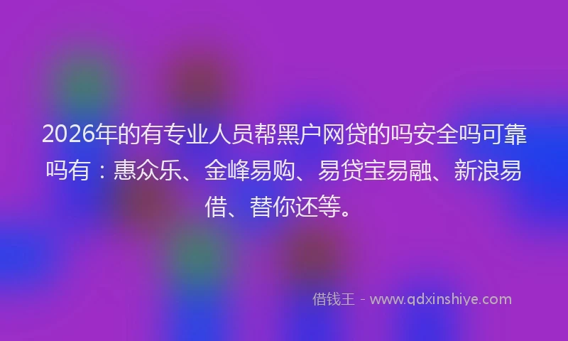2026年的有专业人员帮黑户网贷的吗安全吗可靠吗有：惠众乐、金峰易购、易贷宝易融、新浪易借、替你还等。