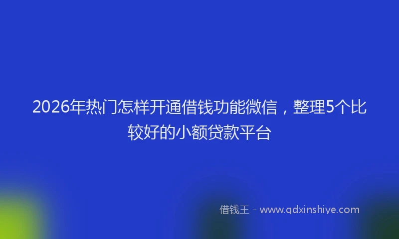 2026年热门怎样开通借钱功能微信，整理5个比较好的小额贷款平台