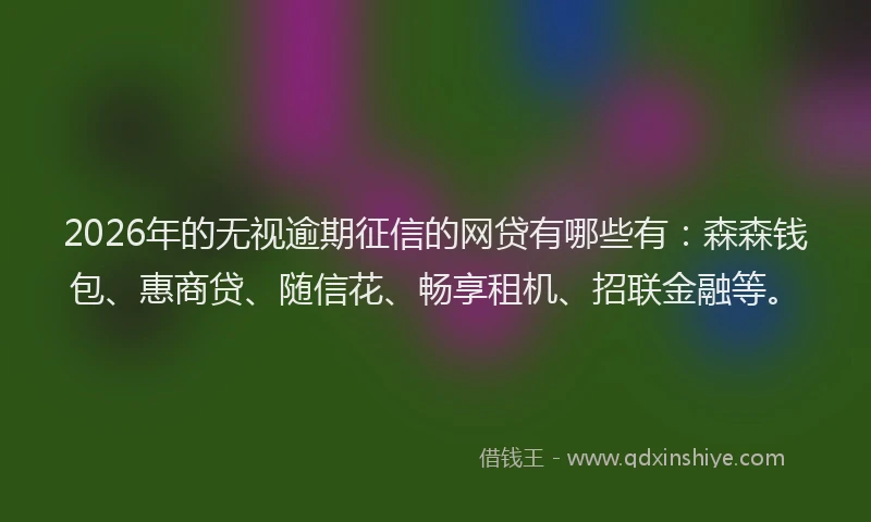 2026年的无视逾期征信的网贷有哪些有：森森钱包、惠商贷、随信花、畅享租机、招联金融等。