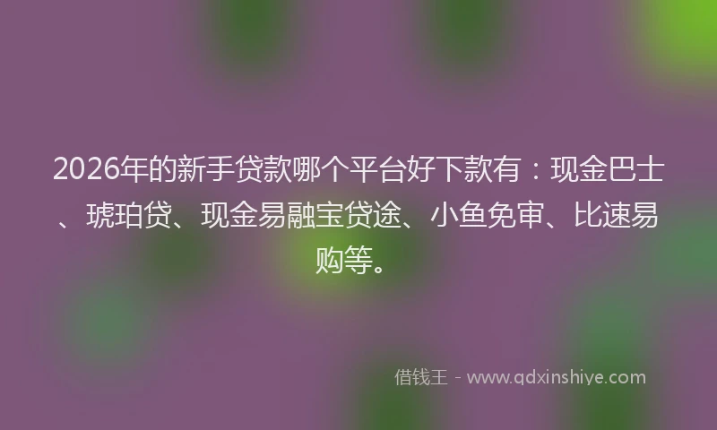 2026年的新手贷款哪个平台好下款有：现金巴士、琥珀贷、现金易融宝贷途、小鱼免审、比速易购等。