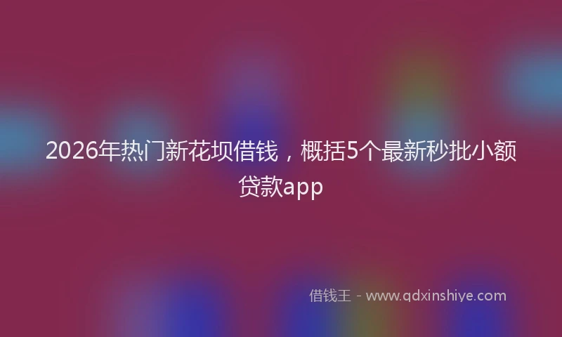 2026年热门新花坝借钱，概括5个最新秒批小额贷款app