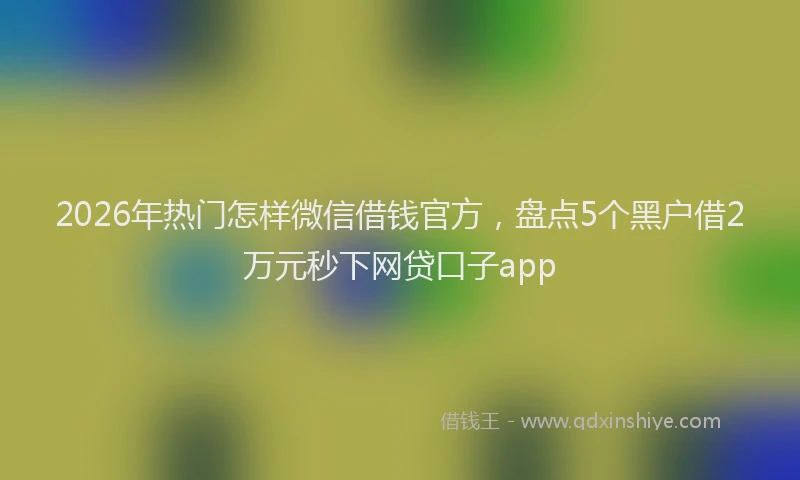 2026年热门怎样微信借钱官方，盘点5个黑户借2万元秒下网贷口子app