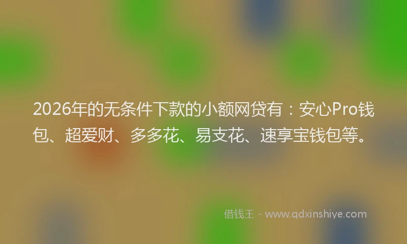 2026年的无条件下款的小额网贷有：安心Pro钱包、超爱财、多多花、易支花、速享宝钱包等。