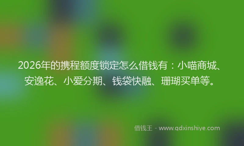 2026年的携程额度锁定怎么借钱有:小喵商城、安逸花、小爱分期、钱袋快融、珊瑚买单等。