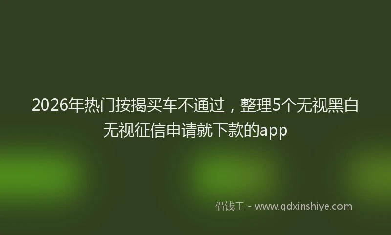 2026年热门按揭买车不通过，整理5个无视黑白无视征信申请就下款的app