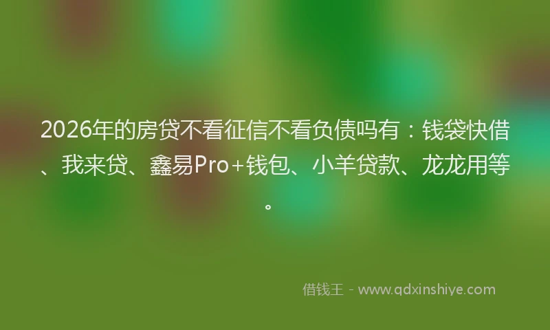 2026年的房贷不看征信不看负债吗有：钱袋快借、我来贷、鑫易Pro+钱包、小羊贷款、龙龙用等。